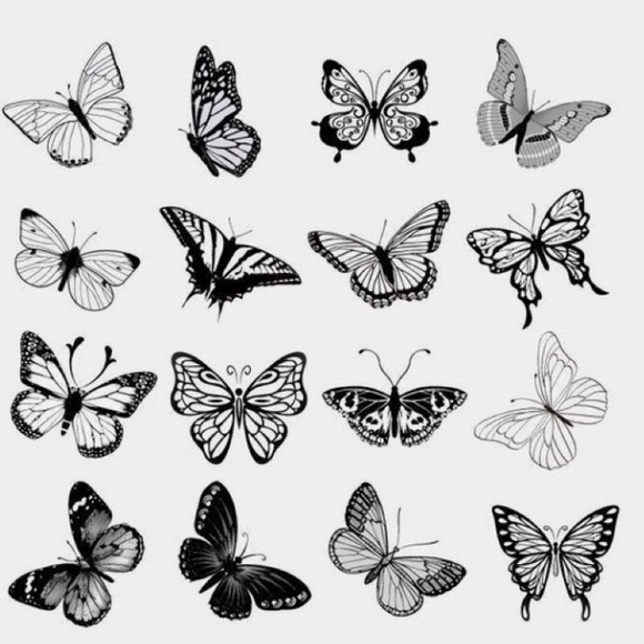 Meet your Posher, Amayra - Picture 1 of 1